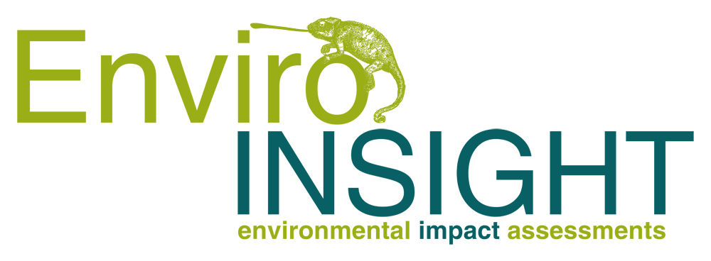 Enviro Insight Logo
